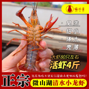 龙虾养殖