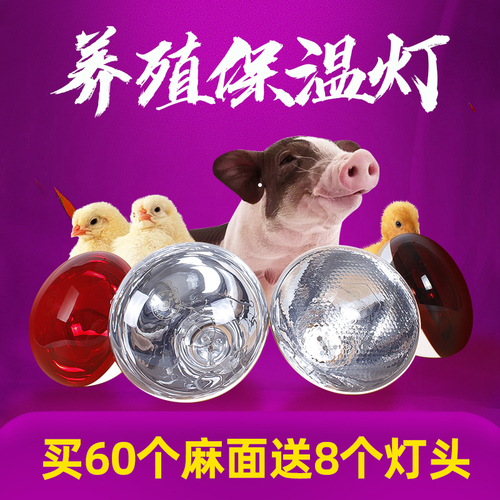 兽用保温灯养殖 取暖灯泡育雏小鸡红外线加热灯仔猪小猪取暖设备